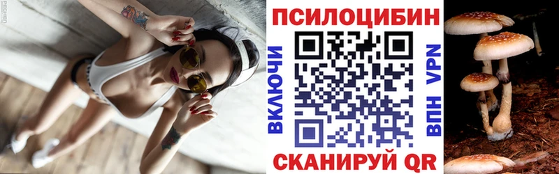 Купить закладки  Крым  Псилоцибиновые грибы MAGIC MUSHROOMS 